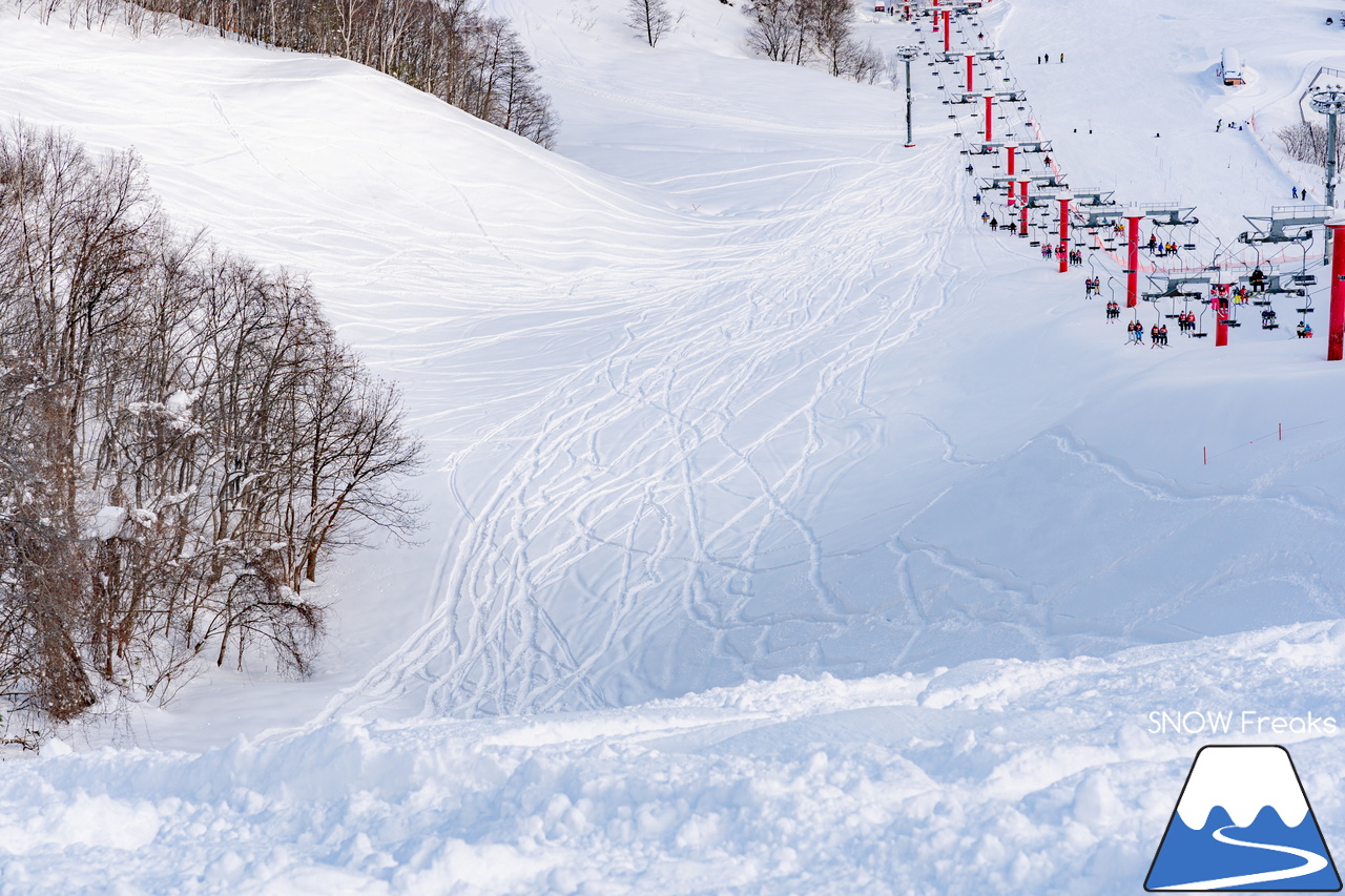 朝里川温泉スキー場｜祝・粉雪復活！競争率ゼロのゲレンデでパウダー三昧♪